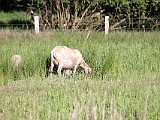 IMG 8040