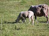 IMG 8043