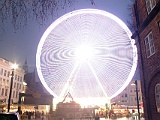 IMG 7301