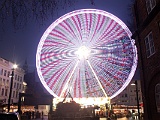 IMG 7302