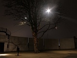 IMG 7379