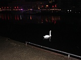 IMG 7469
