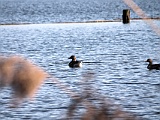 Luebeck 08 03 14