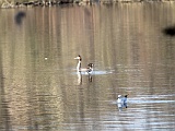 Luebeck 09 04 14