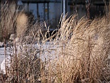Stockelsdorf 23 02