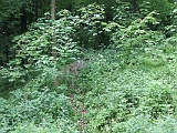 Tour 08 06 14